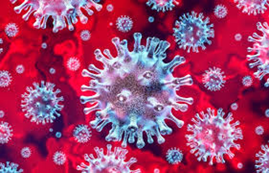 आज देशभर २५५ जनामा कोरोना भाइरस संक्रमण भएको छ