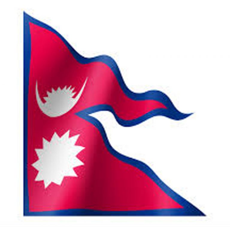 राष्ट्रिय झन्डा जलाउनेलाई मुद्दा चलाउने तयारीमा