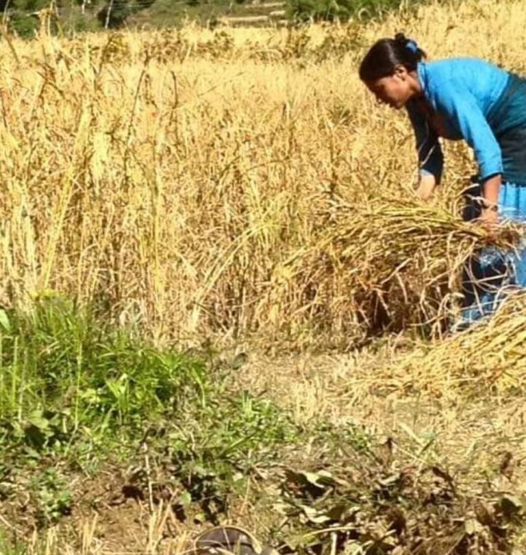 आजको माग कृषि अपरिहार्य