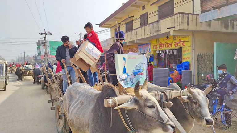 ओलीको बिरोधमा धनगढीमा बयलगाढासहित जुलुस