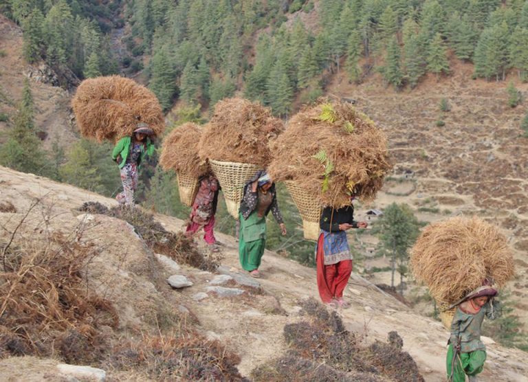 गरीबहरूलाई के देश, के कालापहाड !