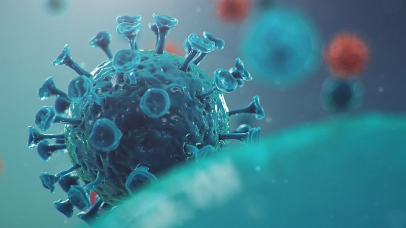 नेपालमा थप १७ जनामा कोरोनाभाइरसको संक्रमण पुष्टि