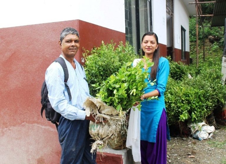 म्याग्दीका पालिकाबाट ५० हजार बढी फलफुलका विरुवा वितरण