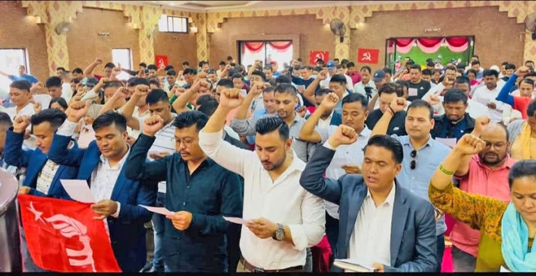 वाईसीएलका ६१ सदस्यीय पदाधिकारीसहित ३५१ सदस्यीय केन्द्रीयहरुले सफद लिए
