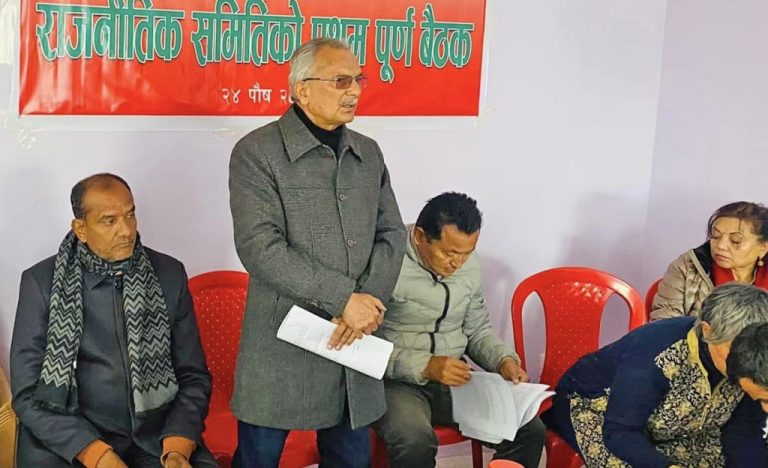 नेसपा (नयाँ शक्ति) ले पार्टीका विभिन्न आयोग र विभागीय प्रमुख तोक्यो