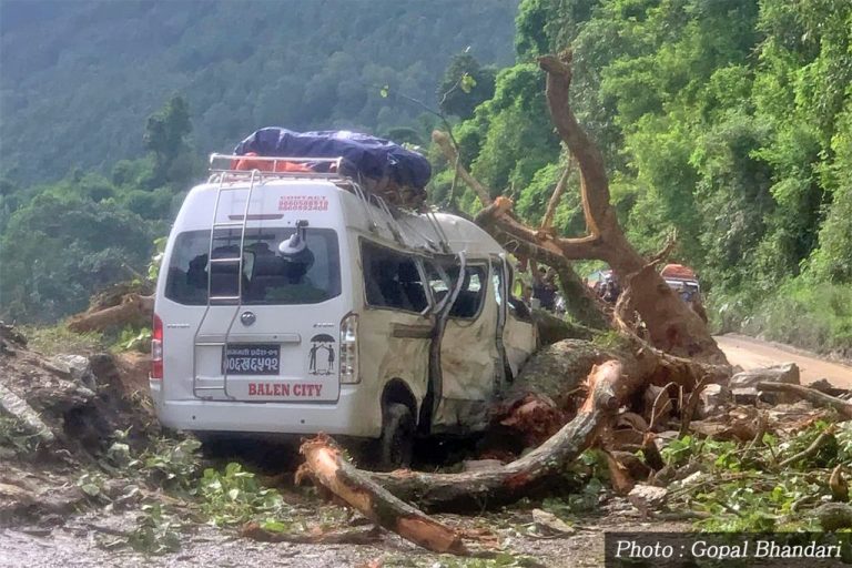 धादिङमा गुडिरहेको माइक्रो बसमाथि रुख खस्दा ७ जना यात्रु घाइते