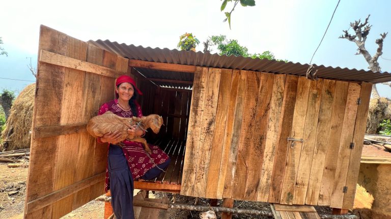 उत्पादन बढाउन आधुनिक खोर निर्माणमा जोड दिँदै वालिङ