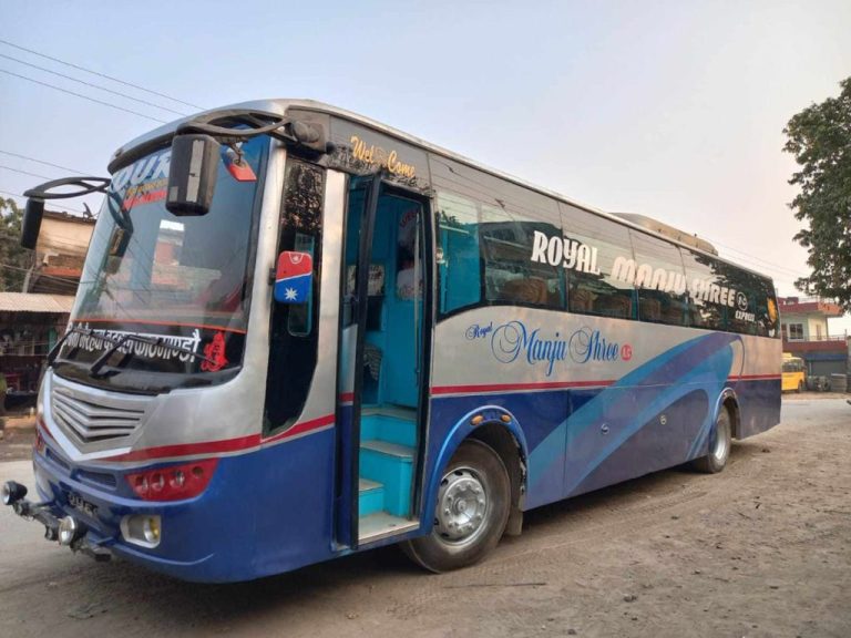 रात्रि बस भित्रै एक महिलाले जन्माइन बच्चा