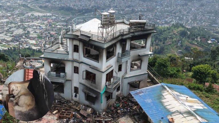 पूर्वउपराष्ट्रपति पुनको घरमा भोकभोकै रोयर घर कुरिरहेको कुकुर