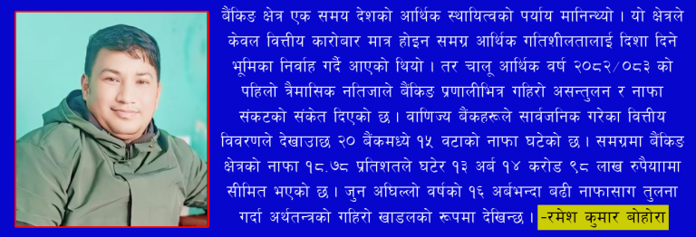 बैंकिङ नाफा संकटको भित्री कथा:  तरलता, लगानी र नीतिगत असन्तुलनको प्रभाव