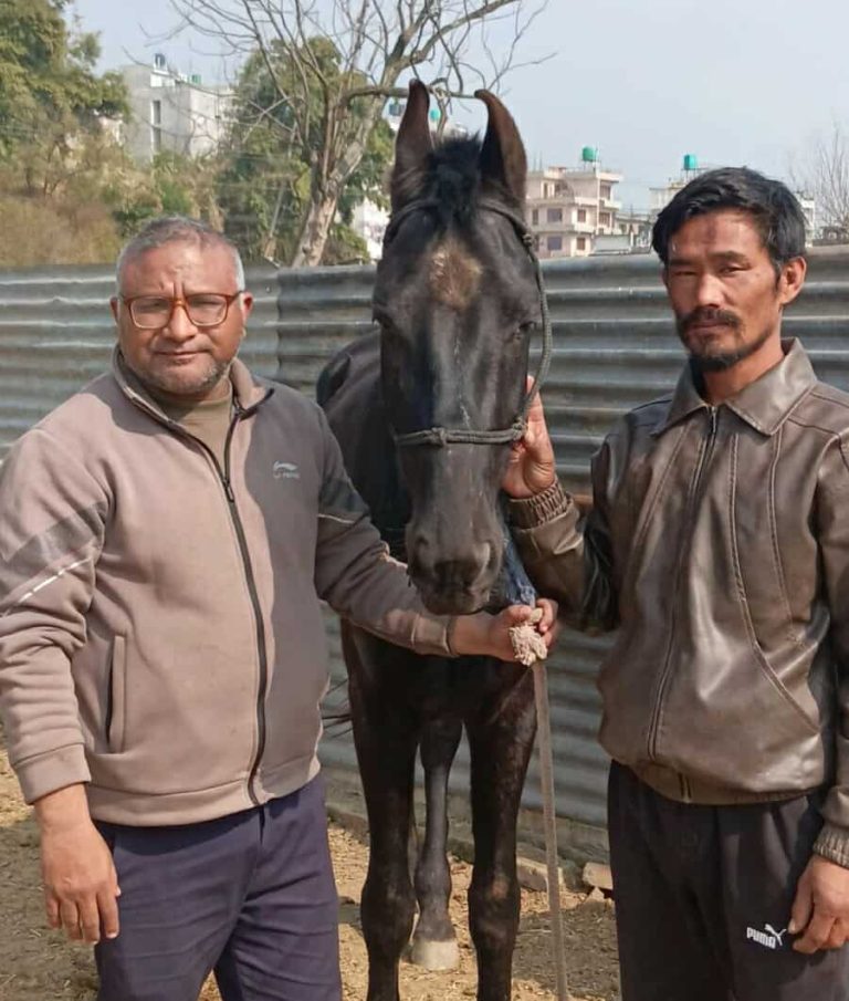 कलाकारहरूका लागि घोडचडी तालिम आयोजना गर्दै